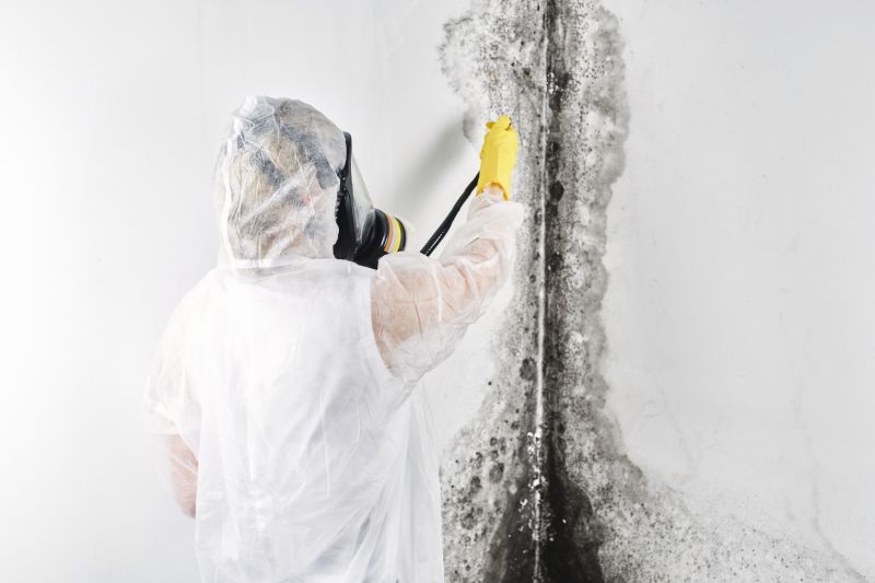 Attic Mold Remediation in Bergen County, NJ