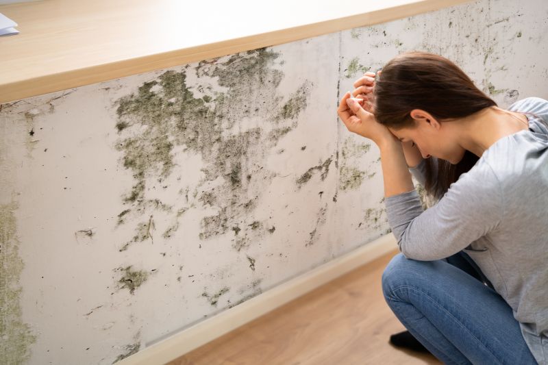 Attic Mold Removal in Fort Worth, TX