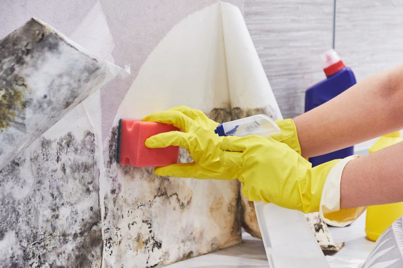 Basement Mold Remediation in Jupiter, FL