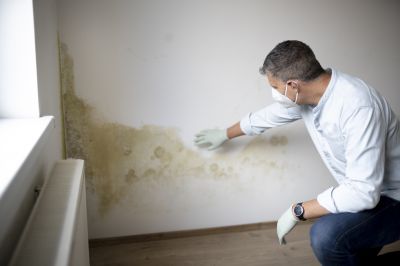 Basement Mold Remediation in Broward County, FL