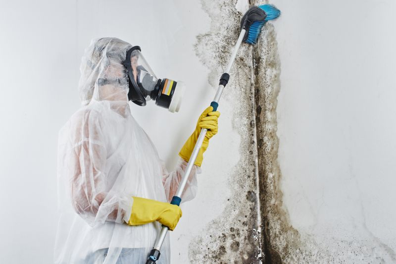 Basement Mold Remediation in Fort Lauderdale, FL