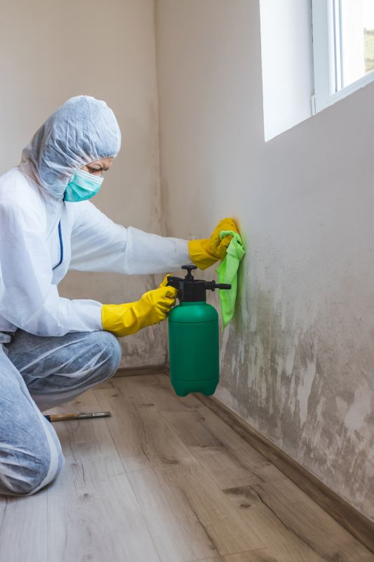 Basement Mold Remediation in Bergen County, NJ