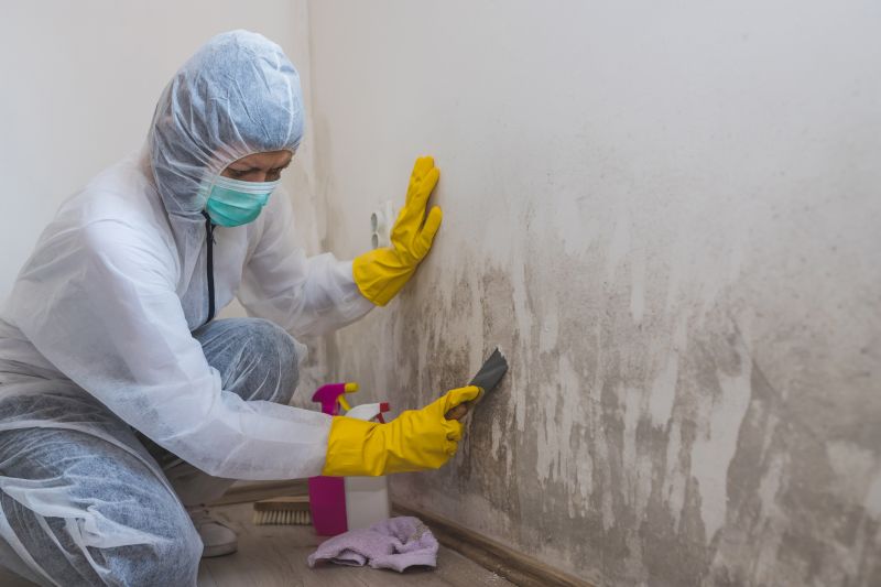 Basement Mold Removal in Dallas, TX