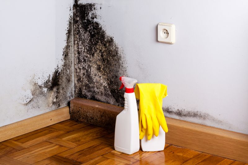 Basement Mold Removal in Bergen County, NJ
