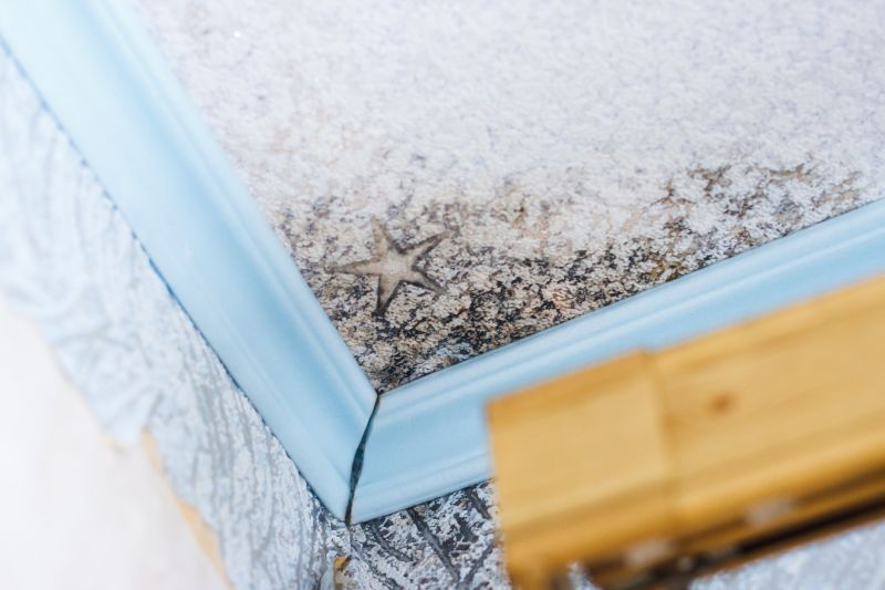 Black Mold Remediation in Fort Worth, TX