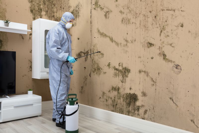 Black Mold Removal in Fort Worth, TX
