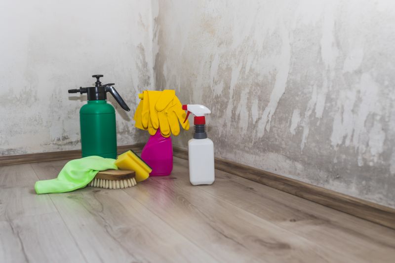 Crawlspace Mold Remediation in Jupiter, FL