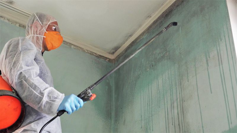Garage Mold Remediation in Broward County, FL