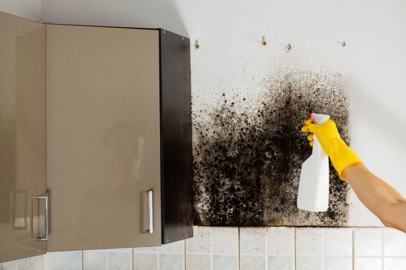 Mold Cleanup Service in Dallas, TX