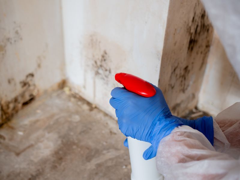 Mold Restoration in Frisco, TX