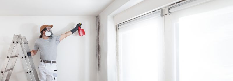 Mold Restoration in Broward County, FL