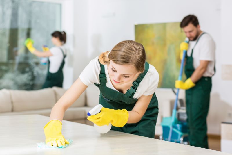 Reo Property Cleaning in Renton, WA