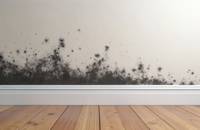 White Mold Mitigation in Essex County, NJ