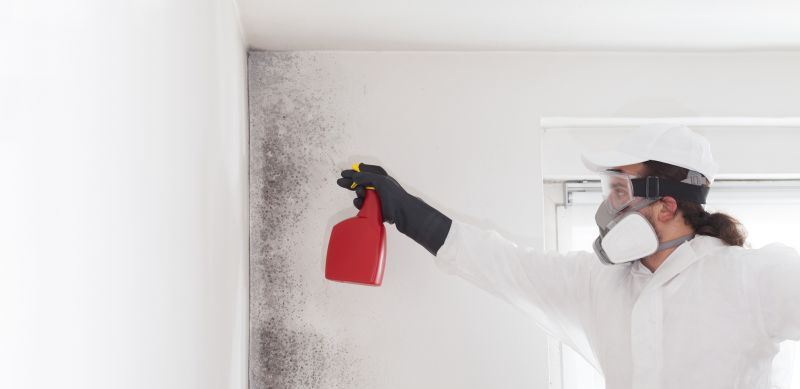 Attic Mold Remediation in Fort Worth, TX