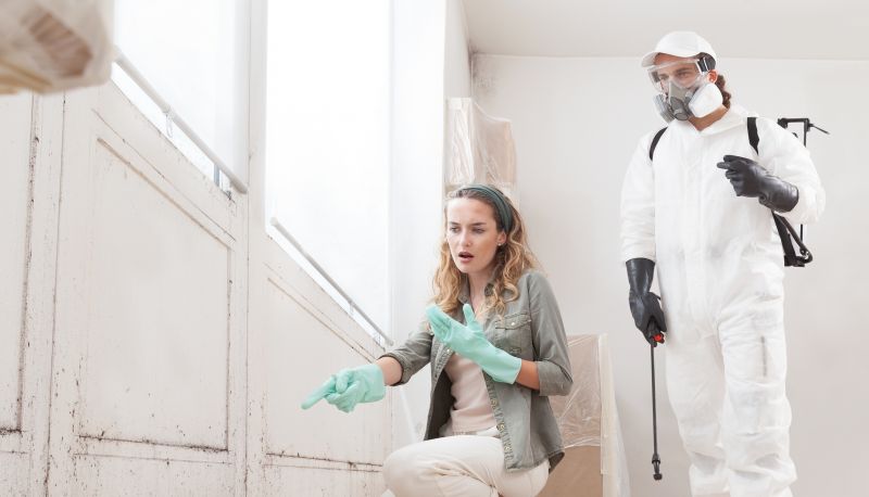 Attic Mold Remediation in Dallas, TX