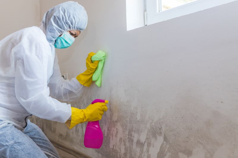 Crawlspace Mold Remediation in Boca Raton, FL
