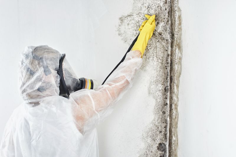 Mold Abatement in Mckinney, TX