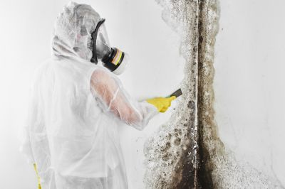 Mold Remediation Service in West Palm Beach, FL