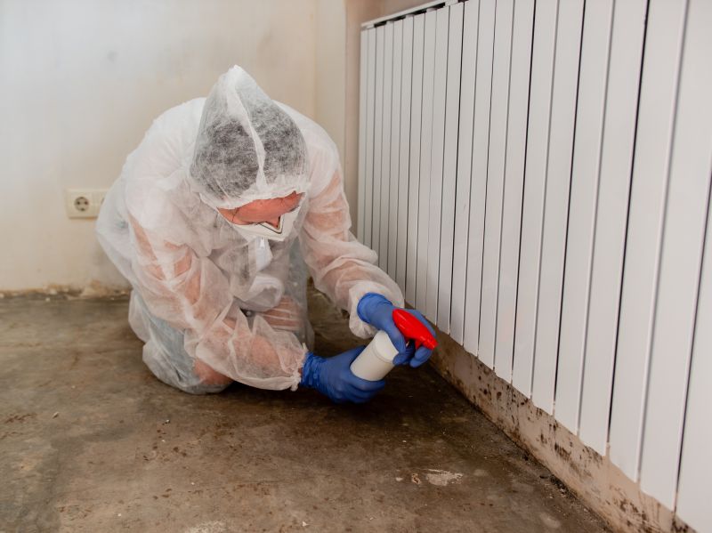Mold Removal in Essex County, NJ