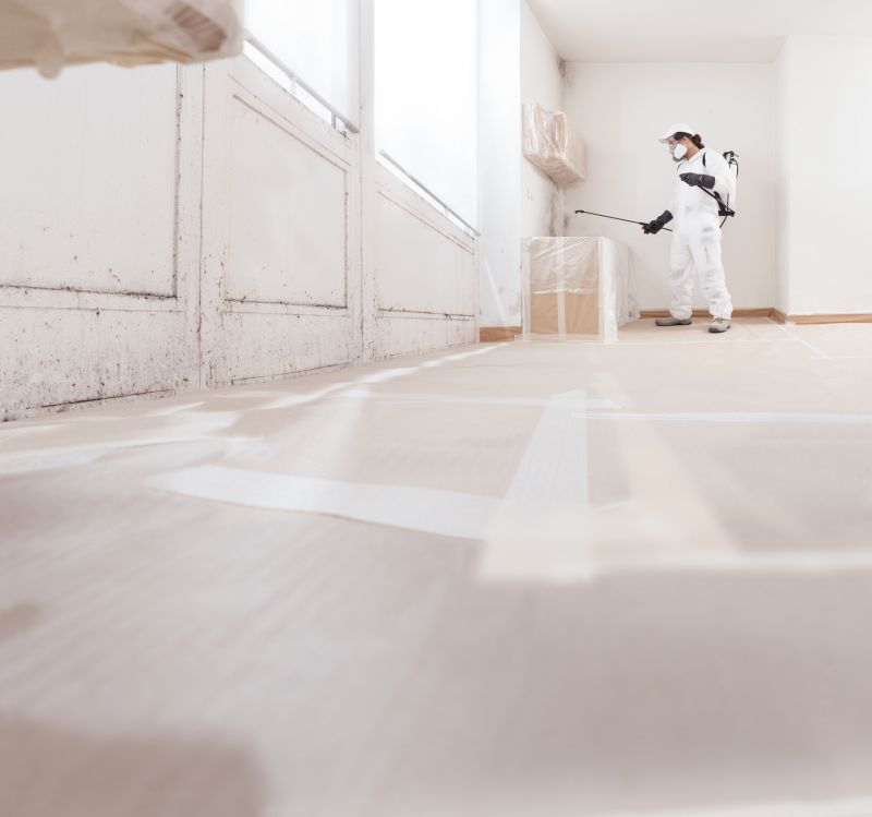Mold Removal in Broward County, FL