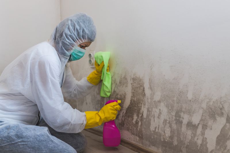 Mold Removal in Boca Raton, FL